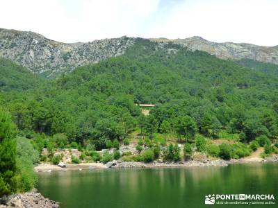 Pinares de la Angostura enrutas senderismo cercedilla ruta sierra madrid Piedralaves;rutas faciles s